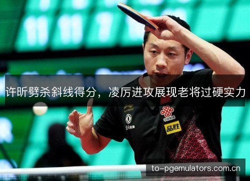 许昕劈杀斜线得分，凌厉进攻展现老将过硬实力